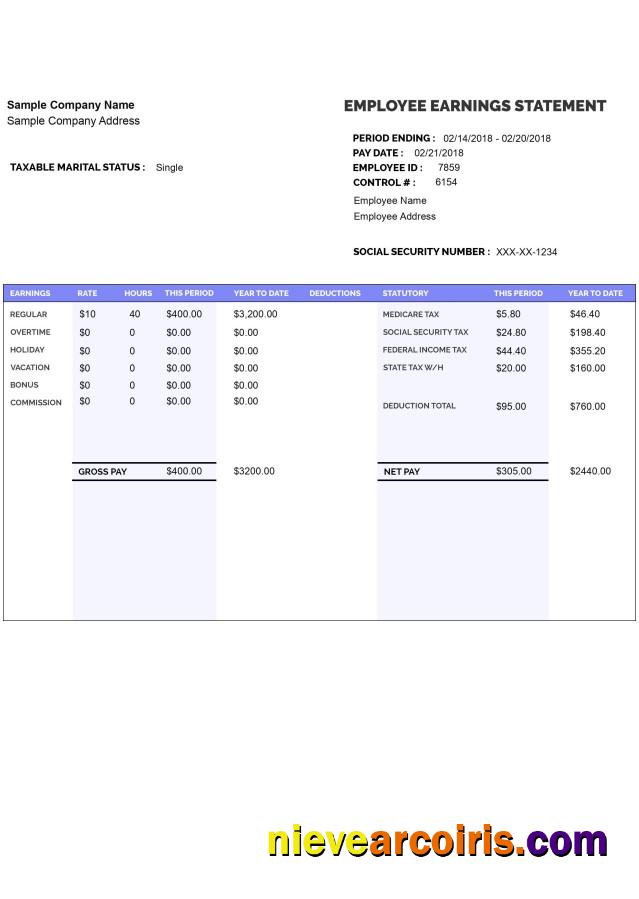 EMPLOYEE earnings statement format version 8